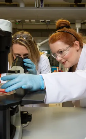 Scientists using a microscope