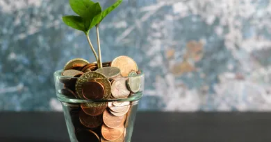photo of coins in a glass jar with plant
