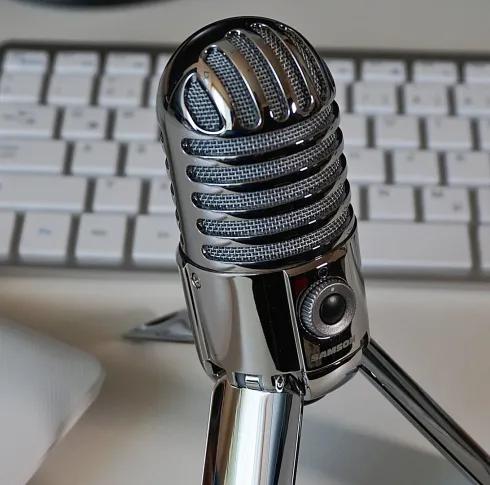 Image shows a microphone