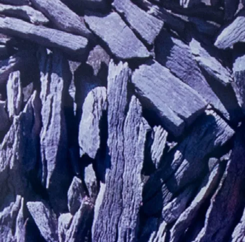 Staycurious - inclusive society